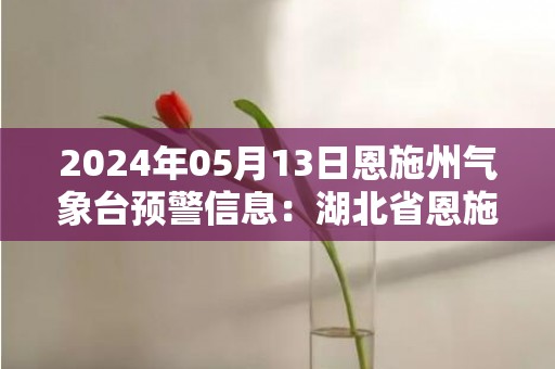 2024年05月13日恩施州气象台预警信息：湖北省恩施土家族苗族自治州发布雷电黄色预警