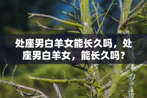 处座男白羊女能长久吗，处座男白羊女，能长久吗？