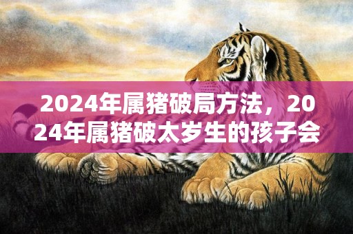 2024年属猪破局方法，2024年属猪破太岁生的孩子会相破吗