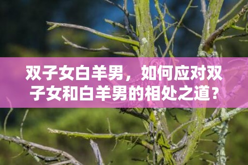 双子女白羊男，如何应对双子女和白羊男的相处之道？