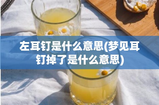 左耳钉是什么意思(梦见耳钉掉了是什么意思)