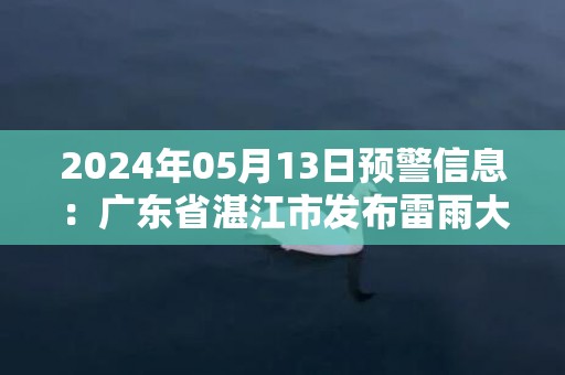2024年05月13日预警信息：广东省湛江市发布雷雨大风黄色预警