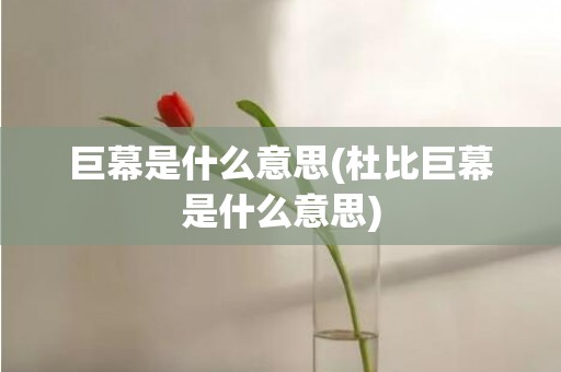 巨幕是什么意思(杜比巨幕是什么意思)