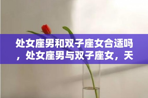 处女座男和双子座女合适吗，处女座男与双子座女，天生一对吗？