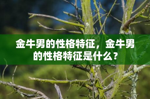 金牛男的性格特征，金牛男的性格特征是什么？
