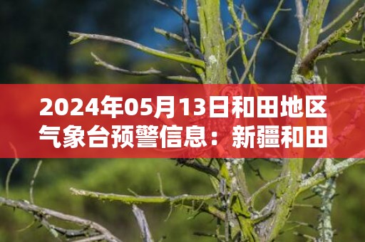 2024年05月13日和田地区气象台预警信息：新疆和田地区发布沙尘暴黄色预警