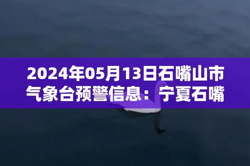 2024年05月13日石嘴山市气象台预警信息：宁夏石嘴山市发布大风蓝色预警