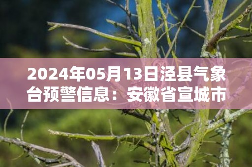 2024年05月13日泾县气象台预警信息：安徽省宣城市泾县发布大雾橙色预警