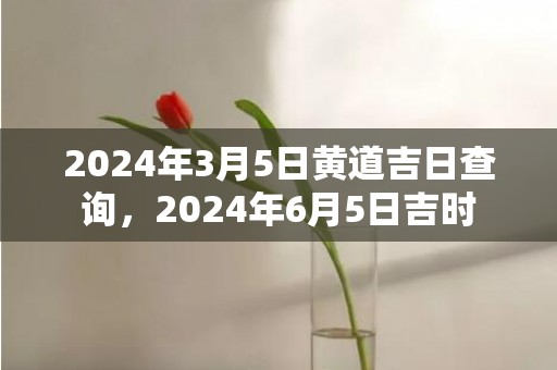 2024年3月5日黄道吉日查询，2024年6月5日吉时