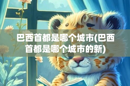巴西首都是哪个城市(巴西首都是哪个城市的新)