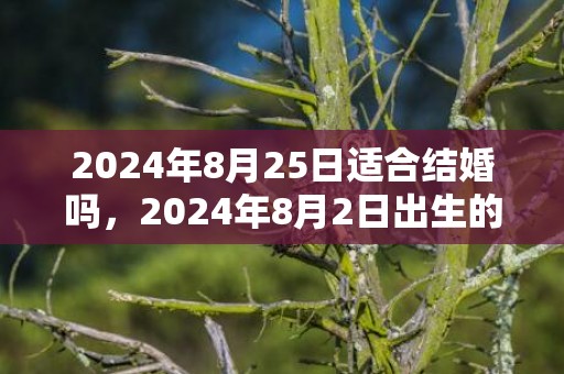 2024年8月25日适合结婚吗，2024年8月2日出生的人命运好不好男孩