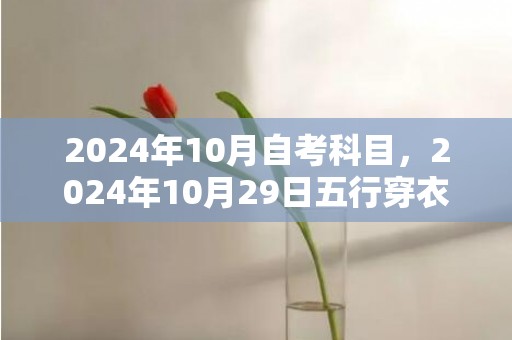2024年10月自考科目，2024年10月29日五行穿衣