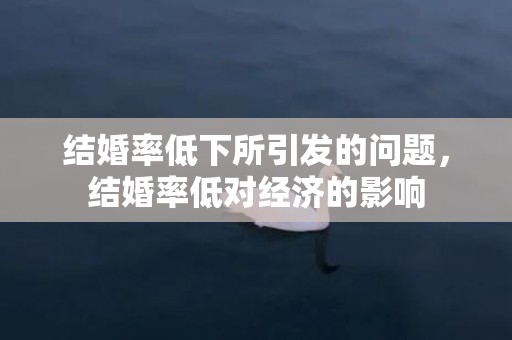 结婚率低下所引发的问题，结婚率低对经济的影响