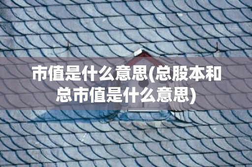 市值是什么意思(总股本和总市值是什么意思)