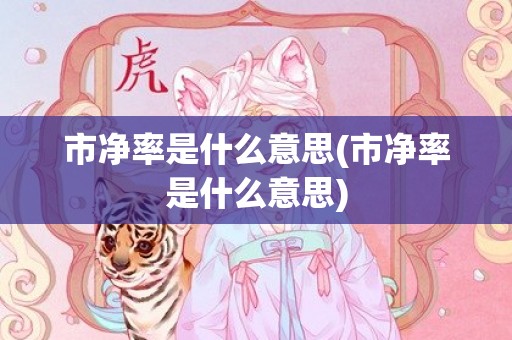 市净率是什么意思(市净率是什么意思)