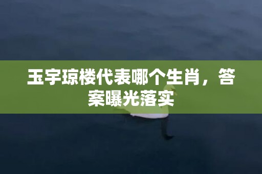 玉宇琼楼代表哪个生肖，答案曝光落实