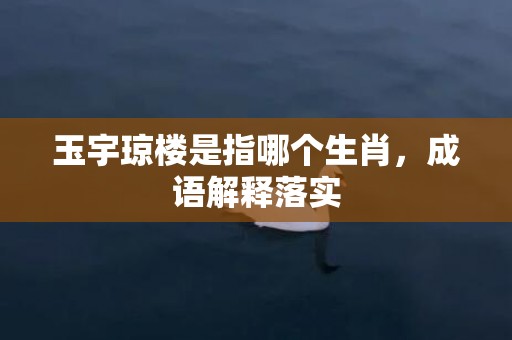 玉宇琼楼是指哪个生肖，成语解释落实