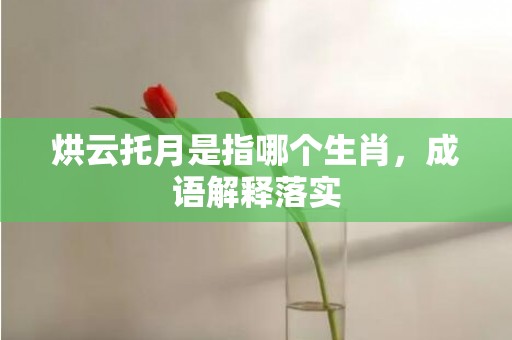 烘云托月是指哪个生肖，成语解释落实