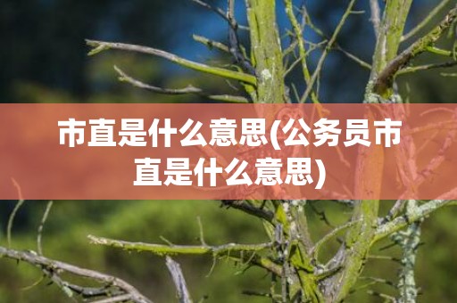市直是什么意思(公务员市直是什么意思)