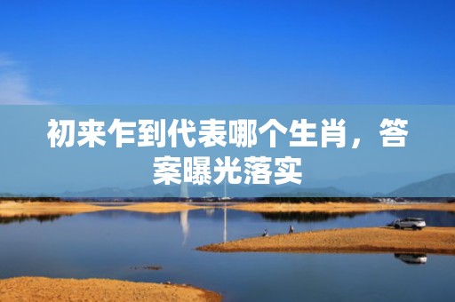 初来乍到代表哪个生肖，答案曝光落实