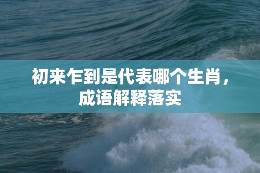 初来乍到是代表哪个生肖，成语解释落实