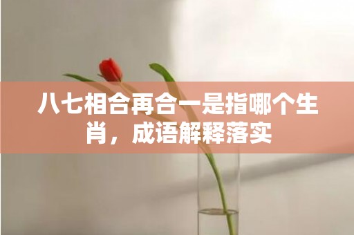 八七相合再合一是指哪个生肖，成语解释落实