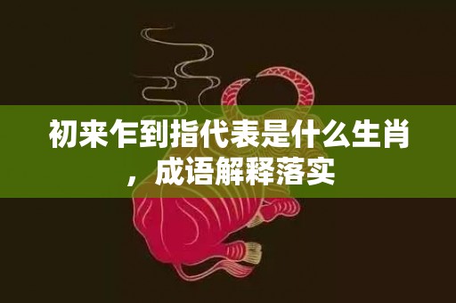 初来乍到指代表是什么生肖，成语解释落实