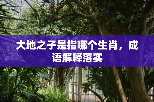 大地之子是指哪个生肖，成语解释落实