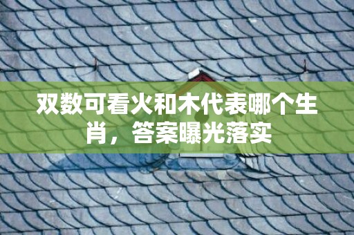 双数可看火和木代表哪个生肖，答案曝光落实