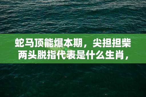 蛇马顶能爆本期，尖担担柴两头脱指代表是什么生肖，成语解释落实
