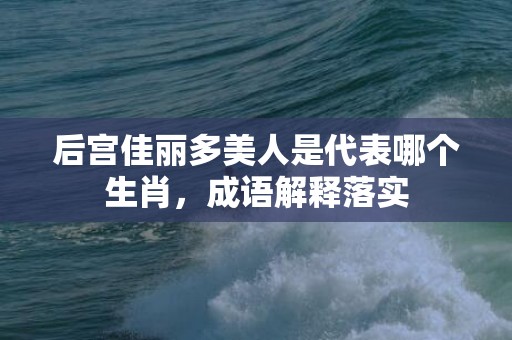 后宫佳丽多美人是代表哪个生肖，成语解释落实