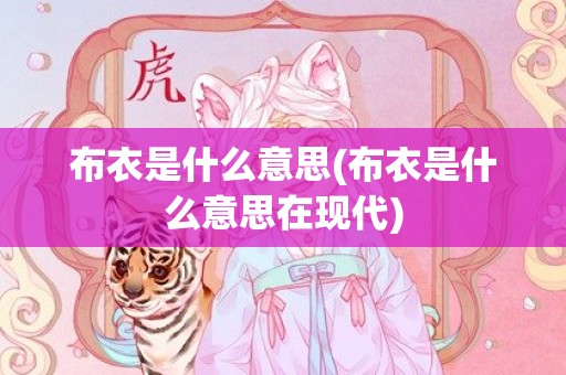 布衣是什么意思(布衣是什么意思在现代)