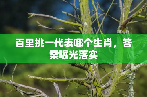 百里挑一代表哪个生肖，答案曝光落实
