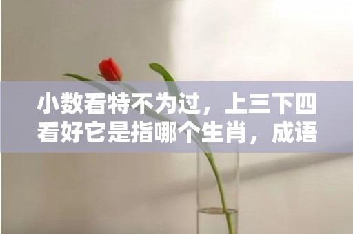 小数看特不为过，上三下四看好它是指哪个生肖，成语解释落实