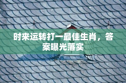 时来运转打一最佳生肖，答案曝光落实