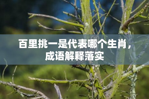 百里挑一是代表哪个生肖，成语解释落实