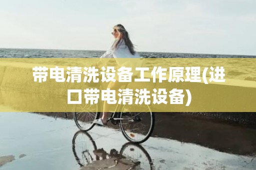 带电清洗设备工作原理(进口带电清洗设备)