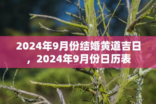 2024年9月份结婚黄道吉日，2024年9月份日历表