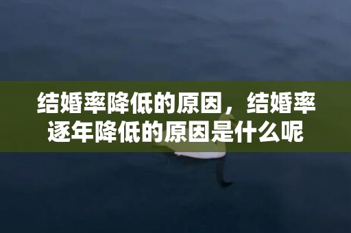 结婚率降低的原因，结婚率逐年降低的原因是什么呢