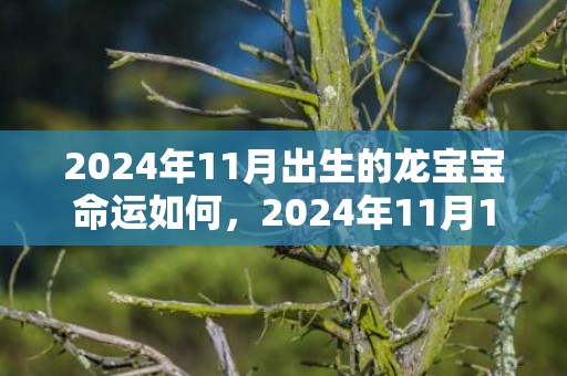 2024年11月出生的龙宝宝命运如何，2024年11月15日出生男孩取名宜用字