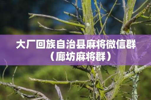 大厂回族自治县麻将微信群（廊坊麻将群）