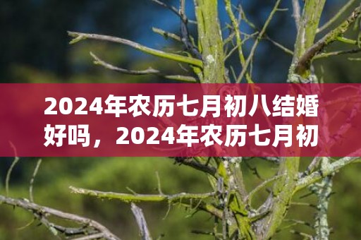 2024年农历七月初八结婚好吗，2024年农历七月初十这天出生的女宝宝是几等命格