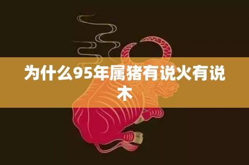 为什么95年属猪有说火有说木