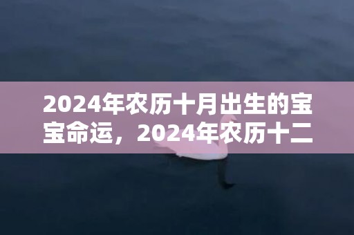 2024年农历十月出生的宝宝命运，2024年农历十二月的黄道吉日多不多