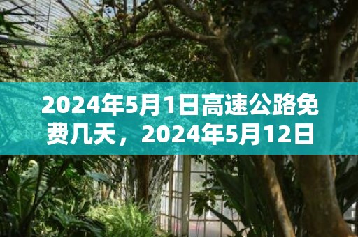 2024年5月1日高速公路免费几天，2024年5月12日出生的男宝宝取名最受欢迎