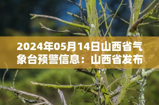2024年05月14日山西省气象台预警信息：山西省发布大风蓝色预警