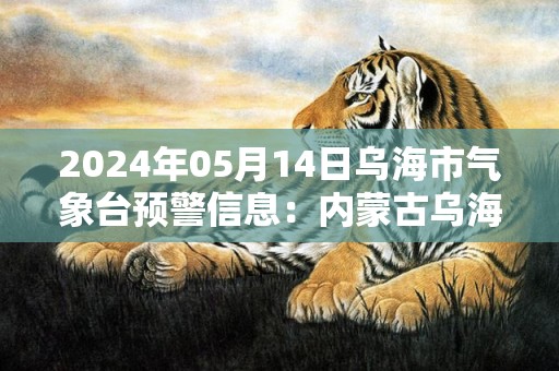 2024年05月14日乌海市气象台预警信息：内蒙古乌海市发布沙尘暴黄色预警
