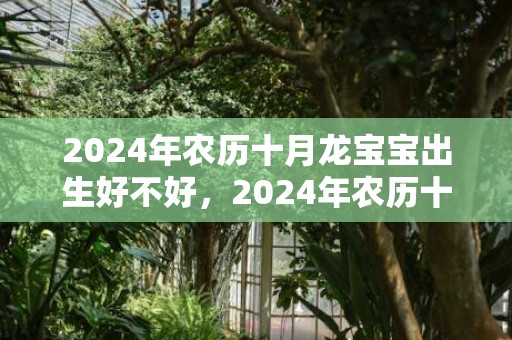2024年农历十月龙宝宝出生好不好，2024年农历十一月二十九适合搬家吗