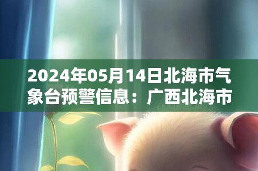 2024年05月14日北海市气象台预警信息：广西北海市发布暴雨橙色预警