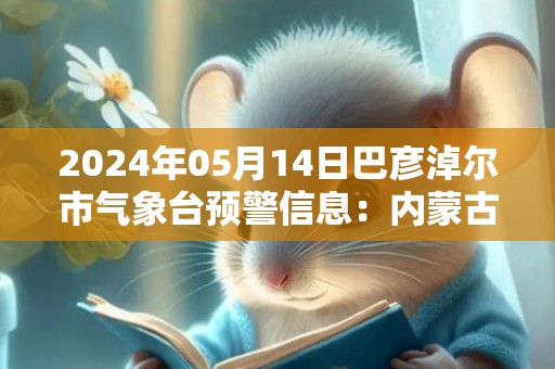 2024年05月14日巴彦淖尔市气象台预警信息：内蒙古巴彦淖尔市发布大风蓝色预警